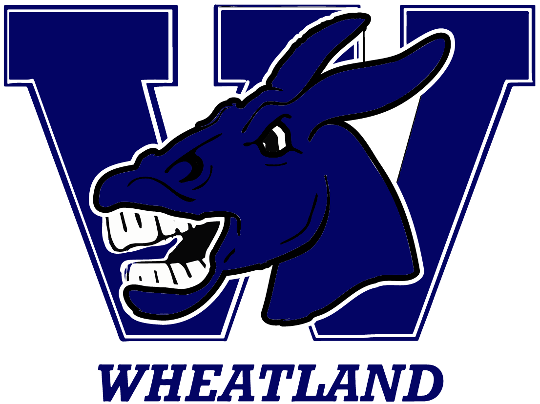 Life Advice For Graduating Seniors The Daily Mule